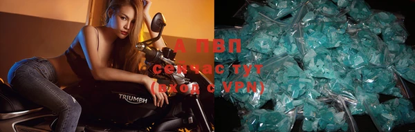шишки Белоозёрский