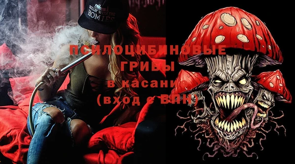 шишки Белоозёрский
