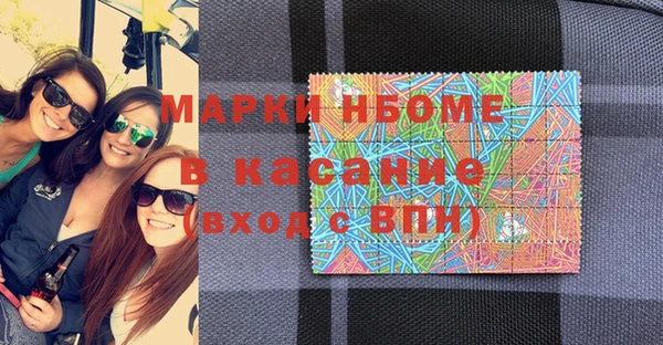 шишки Белоозёрский