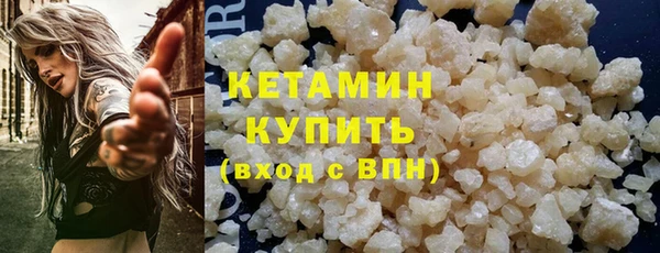 шишки Белоозёрский