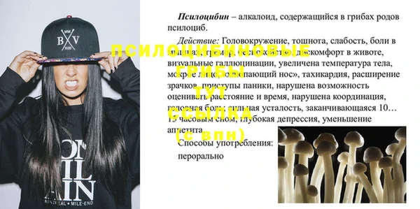 шишки Белоозёрский