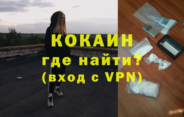 шишки Белоозёрский
