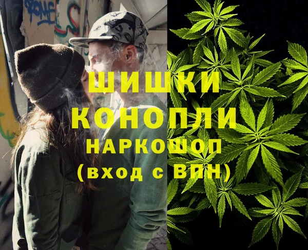 шишки Белоозёрский