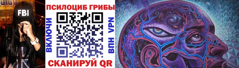 как найти   Судогда  Галлюциногенные грибы MAGIC MUSHROOMS 